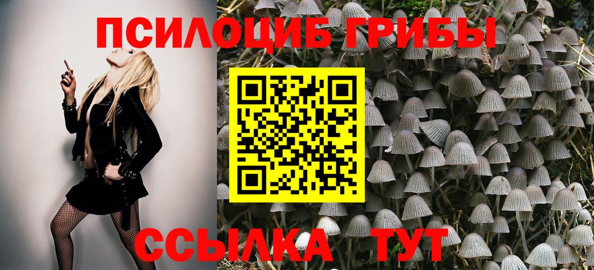 Кисловодск  Галлюциногенные грибы Magic Shrooms  Вход с VPN 