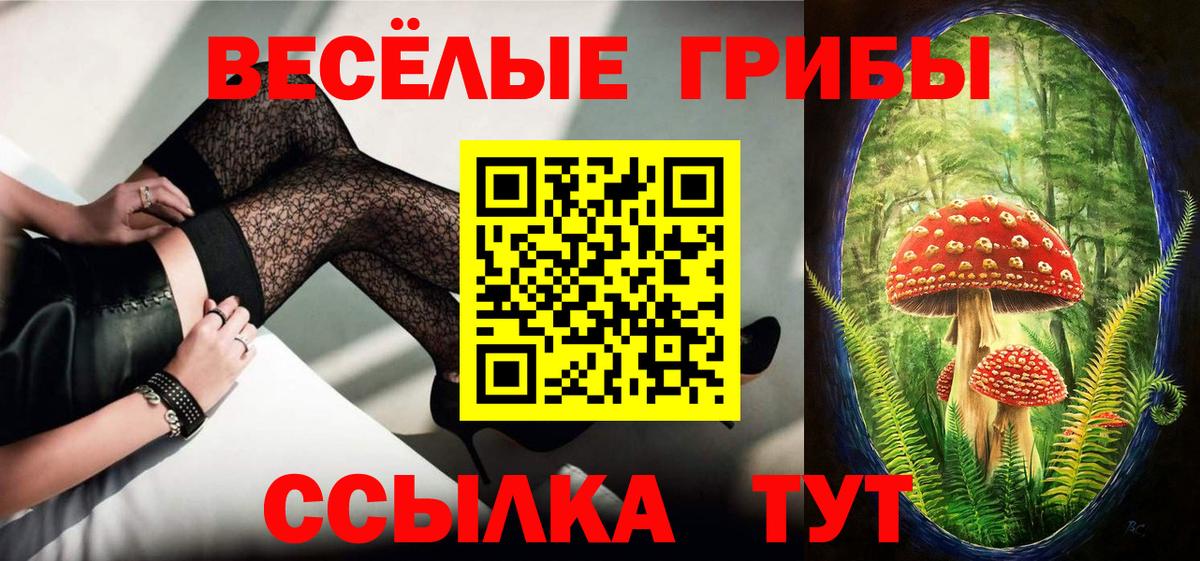 Псилоцибиновые грибы мухоморы Кисловодск